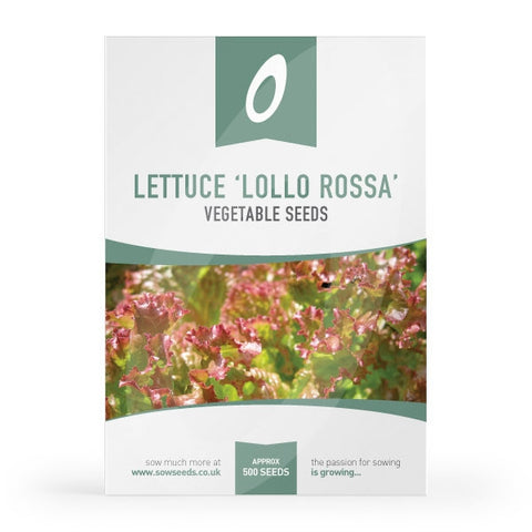 Lettuce Lollo Rossa (Loose Heart) Seeds (AGM)