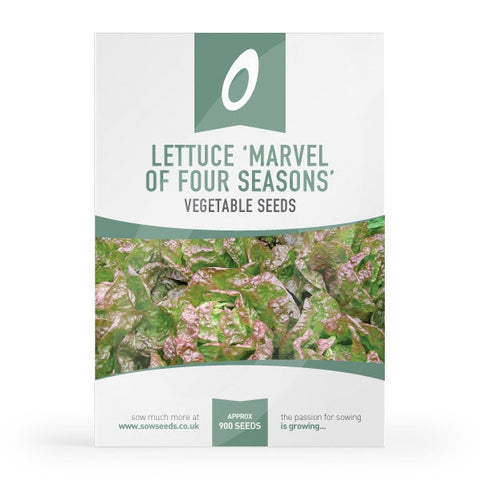Lettuce Marvel of Four Seasons (Butterhead) Seeds