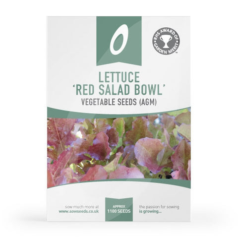Lettuce Red Salad Bowl (Loose Leaf) Seeds (AGM)