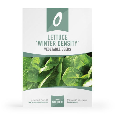 Lettuce Winter Density (Semi-Cos) Seeds