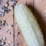 loofah luffa cylindrical vegetable seeds