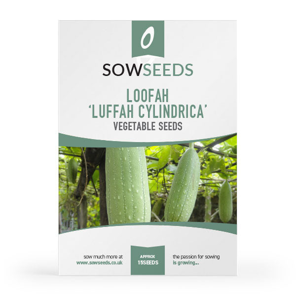 loofah luffa cylindrical vegetable seeds