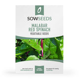 malabar red spinach vegetable seeds