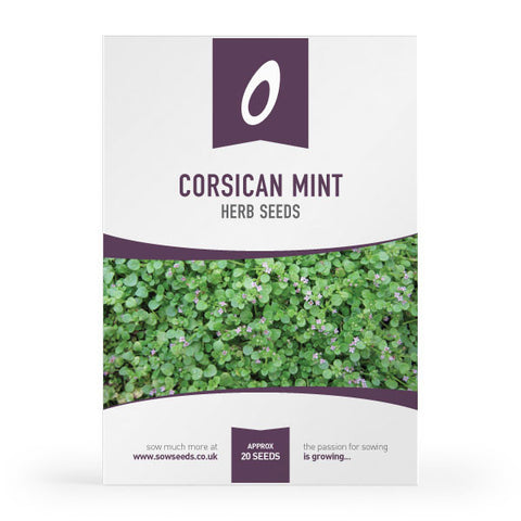 Herb Corsican Mint Seeds