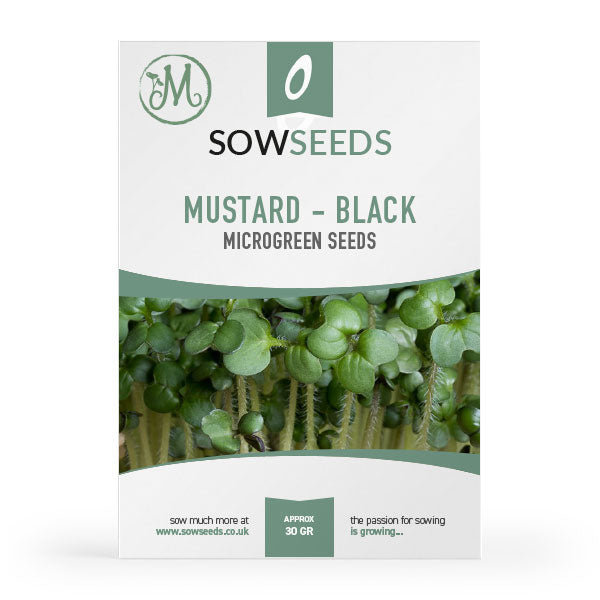 mustard black microgreen seeds