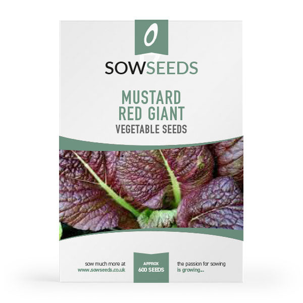 mustard red giant vegetable seeds