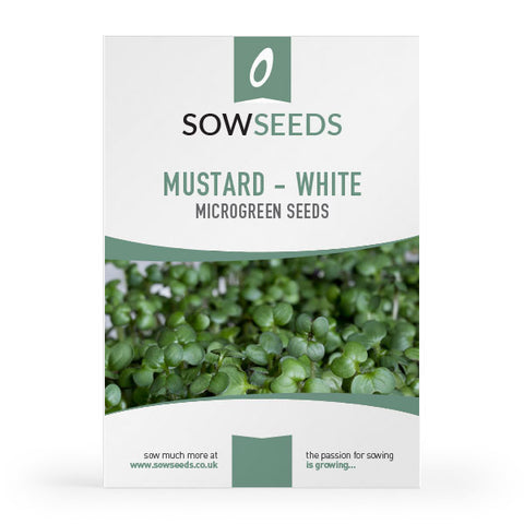 Mustard - White Microgreens Seeds