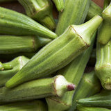 okra clemsons spineless heritage vegetable seeds