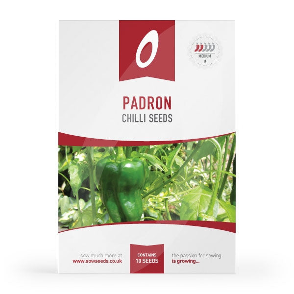 Padron Chilli Seeds