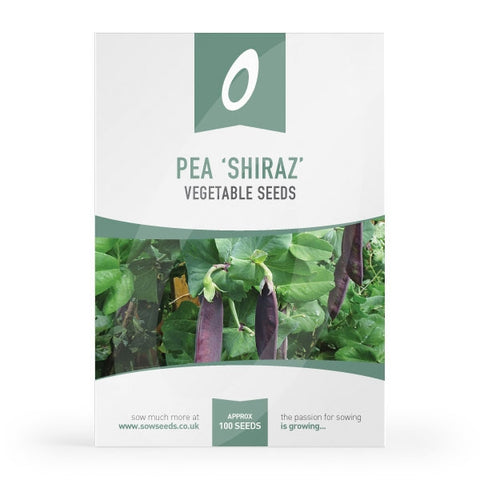 Pea 'Mange Tout' Shiraz Seeds