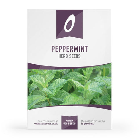 Herb Peppermint Seeds