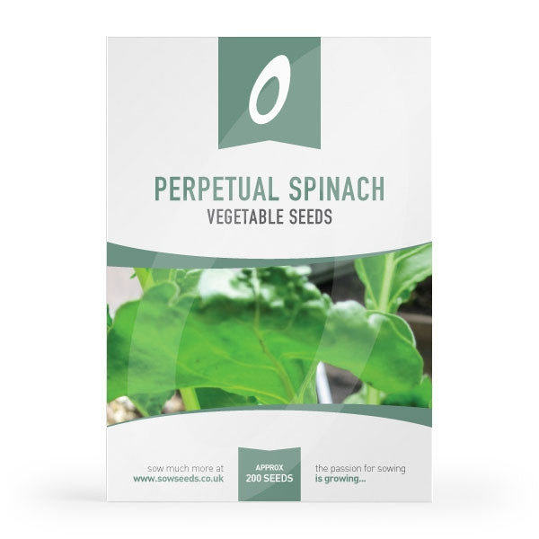 Perpetual Spinach Seeds