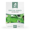Perpetual Spinach Seeds 