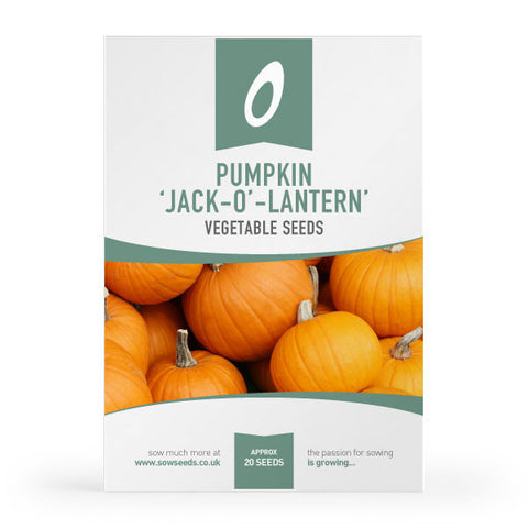 Pumpkin Jack O Lantern Vegetable Seeds