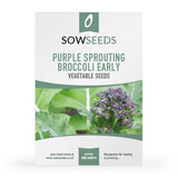 purple sprouting broccoli early vegetable seeds