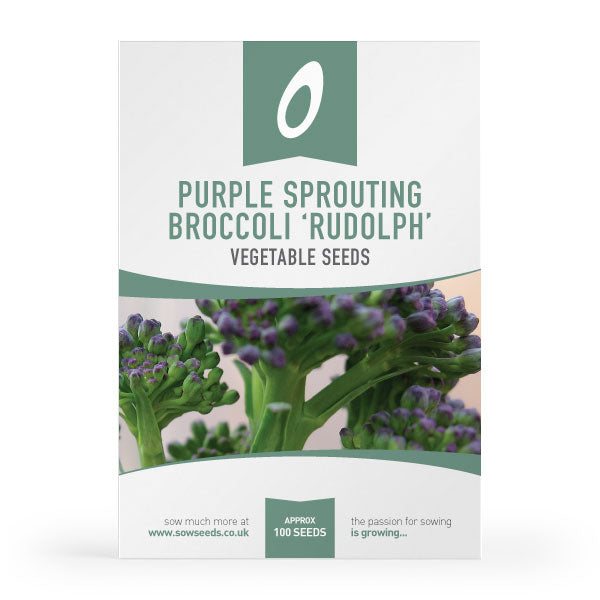 Purple Sprouting Broccoli Rudolph Seeds