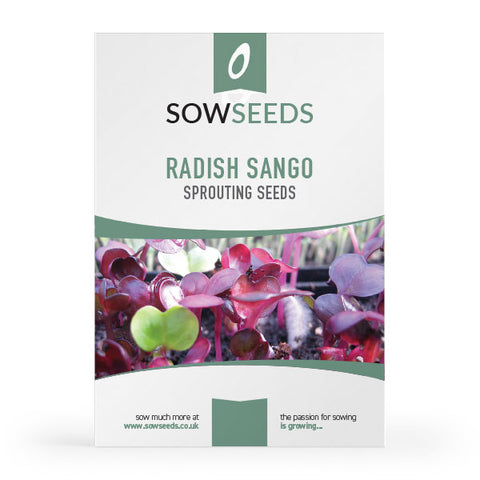 Radish Sango Microgreens Seeds