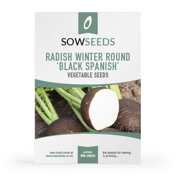 Radish Black Spanish Round Vegetable Seeds
