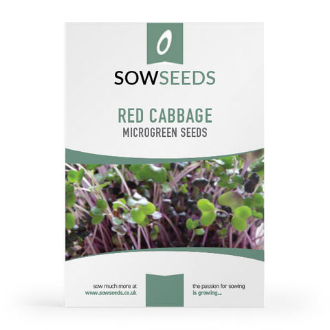 Red Cabbage Microgreens Sprouting Seeds