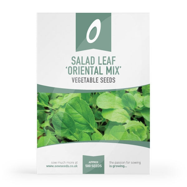 Semi Lattuga Oriental Mix Baby Leaf - 2 G, Per Insalate Piccanti, Facili Da Coltivare - Foto 6