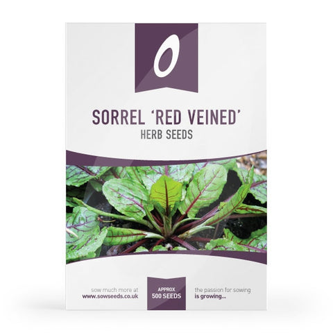 Herb Sorrel Red Veined Seeds