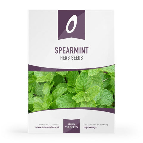 Herb Spearmint Seeds