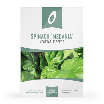 Spinach Medania Seeds