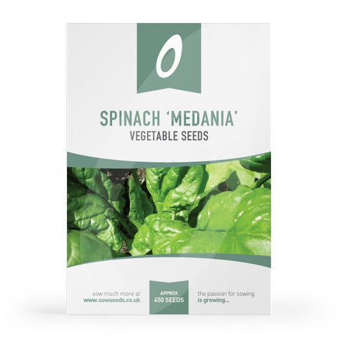 Spinach Medania Seeds (AGM)