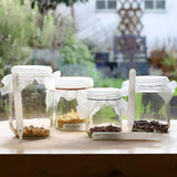 sprouting seed jars rekha garden kitchen