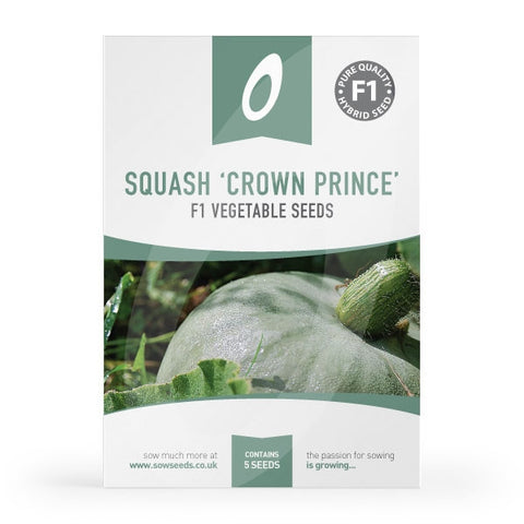 Squash Crown Prince F1 Seeds