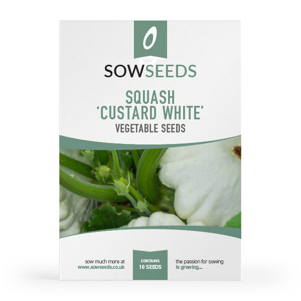 squash custard white vegetable seeds