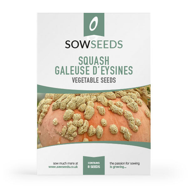 squash galeuse d'eysines heritage vegetable seeds