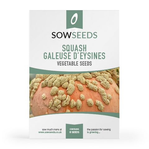 Squash Galeuse D'Eysines Seeds