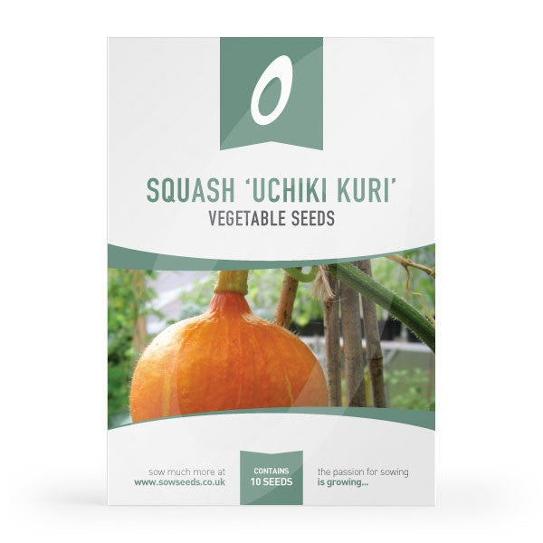 Squash Uchiki Kuri (Red Kuri) Seeds | Quality Seeds from Sow Seeds Ltd