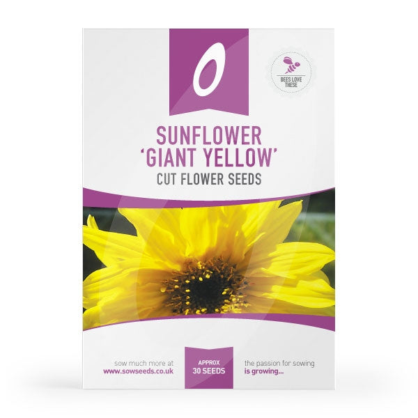bulk sunflower seeds for planting uk Sunflower Giant Yellow Cut Flower Seeds