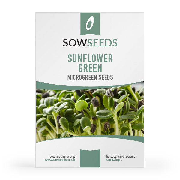 sunflower green black oil microgreen seeds