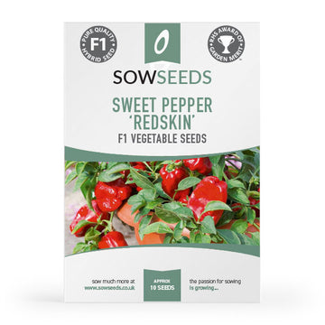 Sweet Pepper Redskin F1 agm vegetable Seeds