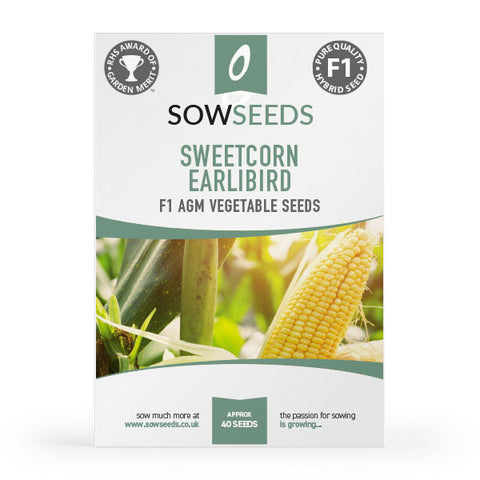 Sweetcorn Earlibird F1 AGM Seeds