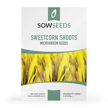 sweetcorn popcorn microgreen shoots
