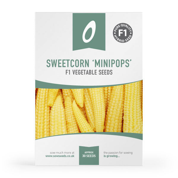 Sweetcorn Minipops F1 Seeds
