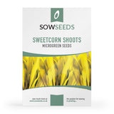 sweetcorn shoots sprouting microgreen seeds