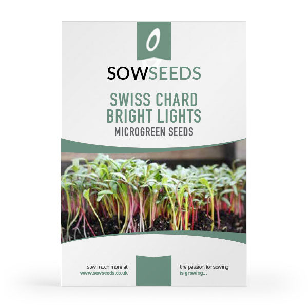 swiss chard bright lights microgreen seeds