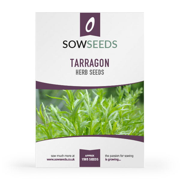 herb tarragon russian perennial seeds