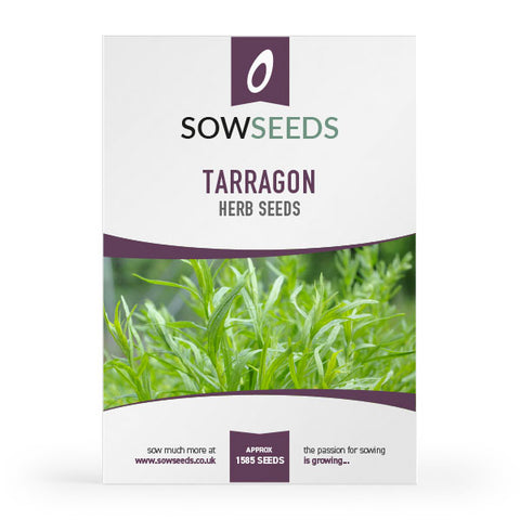 Herb Tarragon Seeds