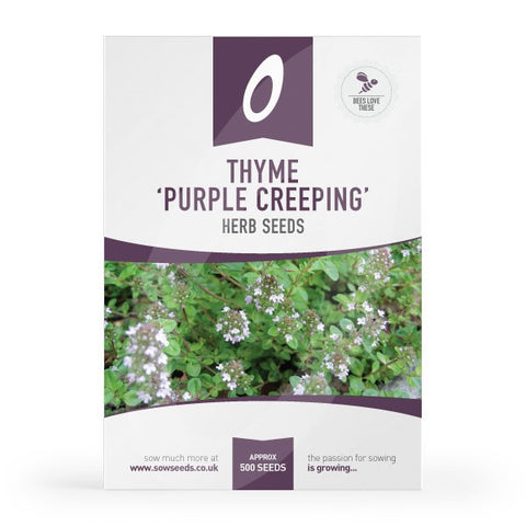 Herb Thyme Purple Creeping Seeds