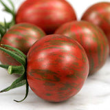 tomato cherry artisan bumble bee mix seeds