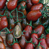 tomato chocolate pear heritage heirloom vegetable seeds