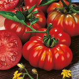 tomato costoluto fiorentino seeds