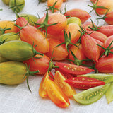 tomato artisan tiger mix vegetable seeds