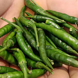toofan chilli pepper seeds